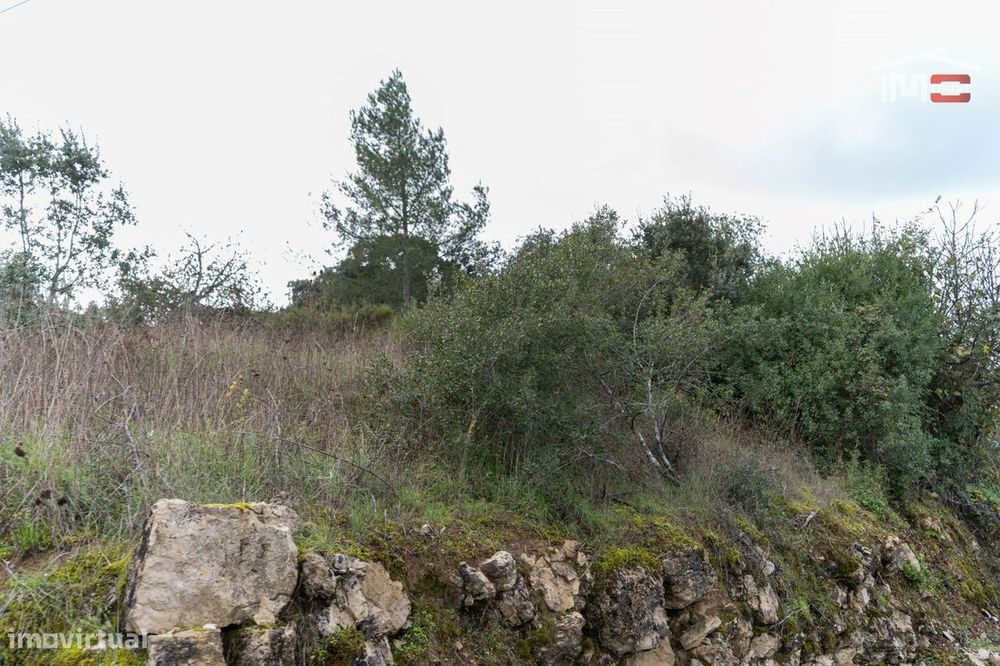 Terreno Com 1576 M² Em Atouguia