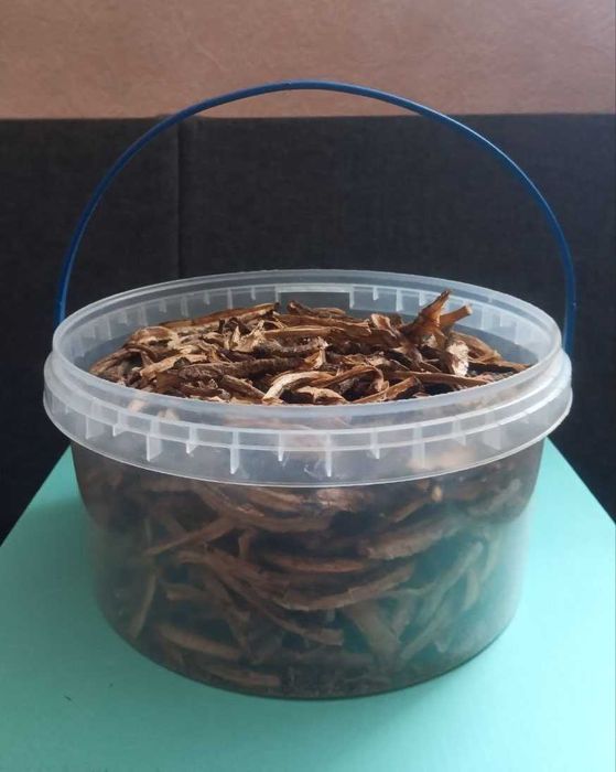 Корінь лопуха сушений