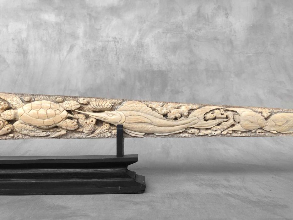 lança de espadarte(Xiphias Gladius ) .(95 cm x 10 x 5cm)