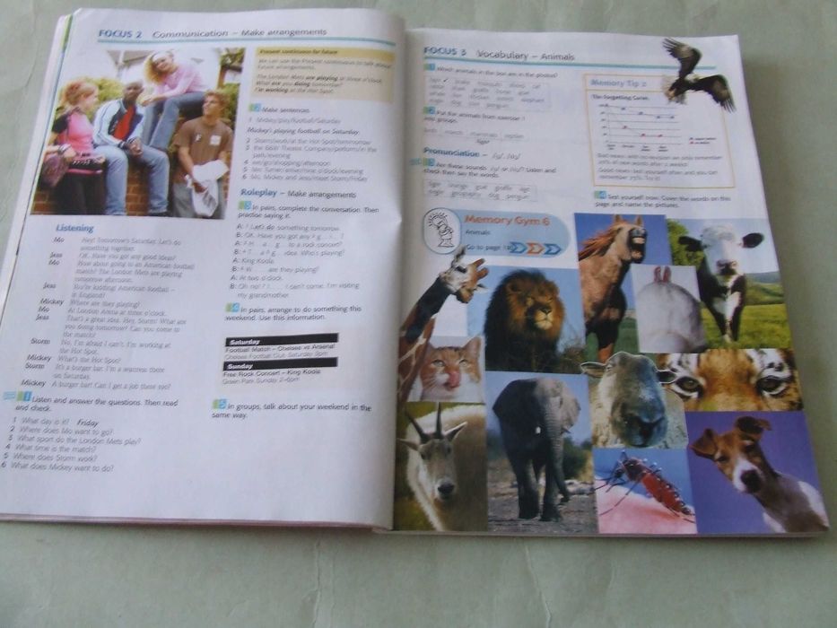 Język angielski energy 2 - Podręcznik + Ćwiczenia + 3 płyty CD