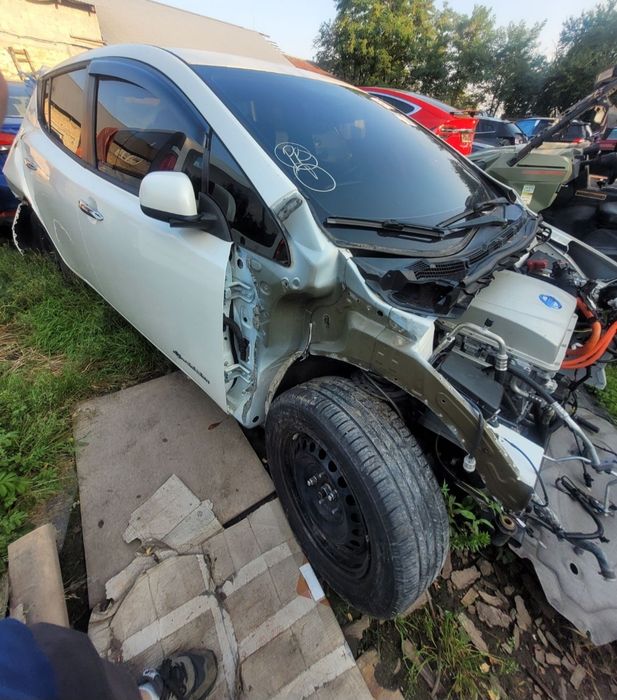 Двері Nissan Leaf