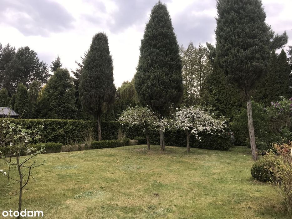Domek Brda 60 m² dz 500m ochrona 21min pieszo od stacji PKP Jeziórko - Widok 4
