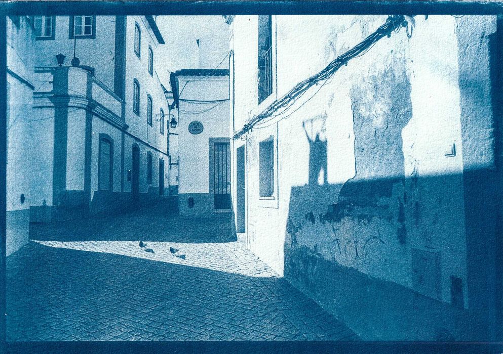 Cianotipia A4 - "Pombos em abertura de luz"