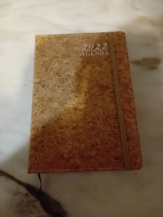 Livro Agenda 2022