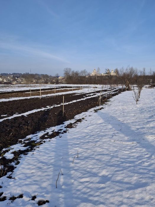 Продаж земельної ділянки під забудову м.Почаїв