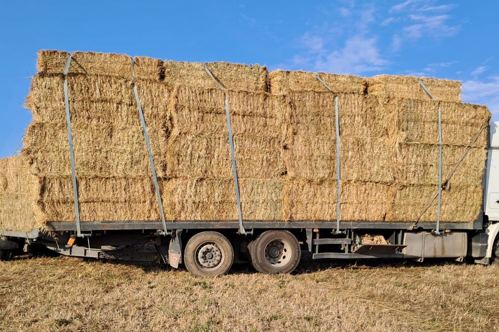 Fardos de feno 80x90 e bolas de fenosilagem