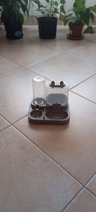 Comedor e bebedouro
