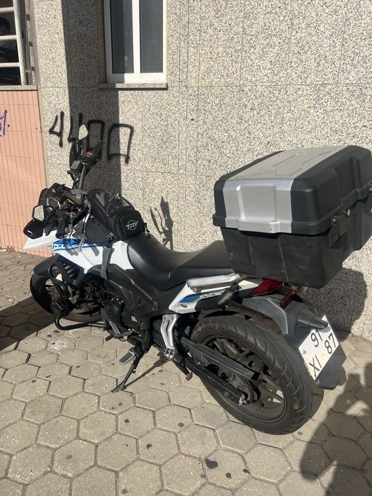 Vortex rx1 2019