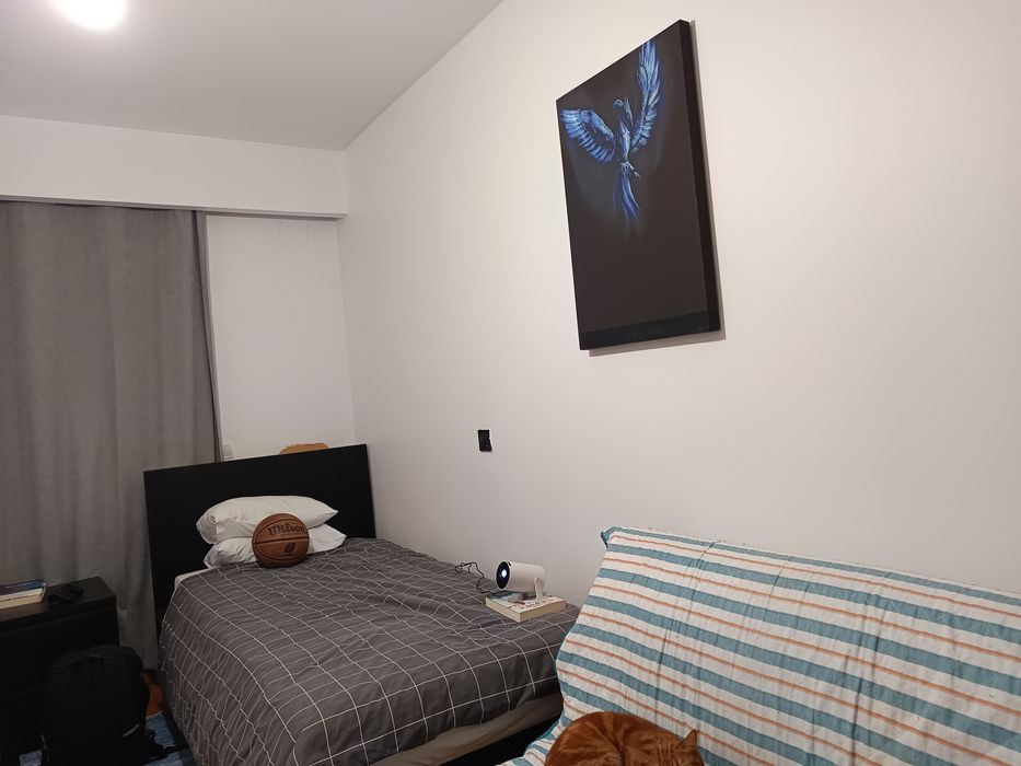 Pintura/Quadro Fênix 50x75