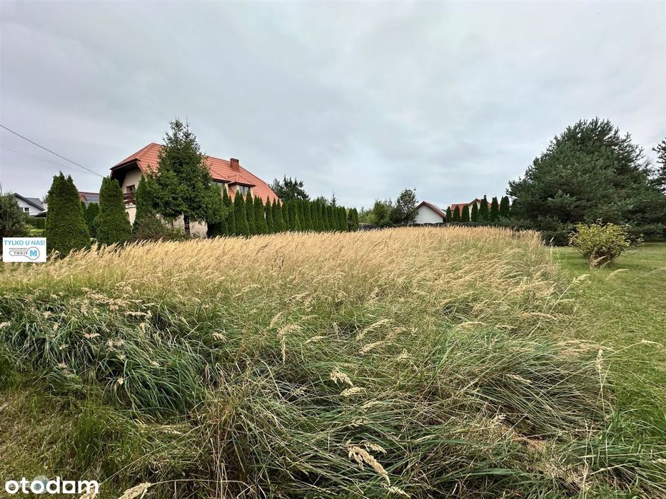 Zdjęcie 3