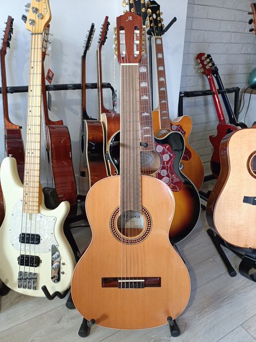 Gitara Klasyczna Alvera ACG 600 CG, Lity Cedr - Okazja / Wyprzedaż