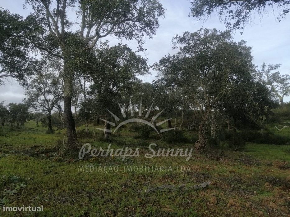 Terreno Rustico São Francisco da Serra