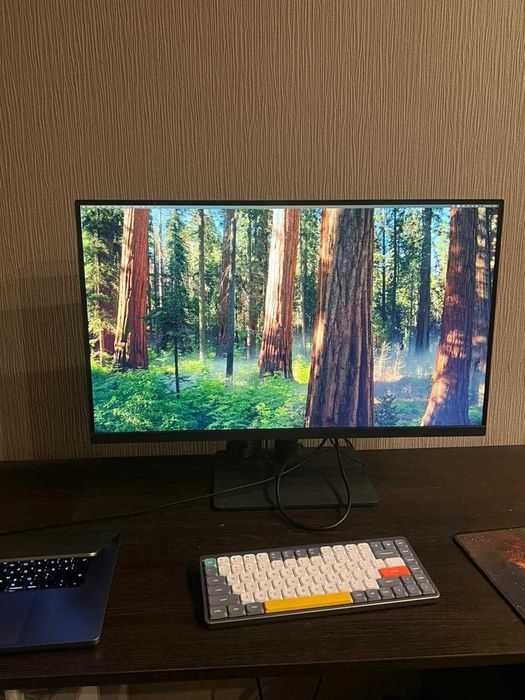 Монитор 31.5" BenQ PD3205U