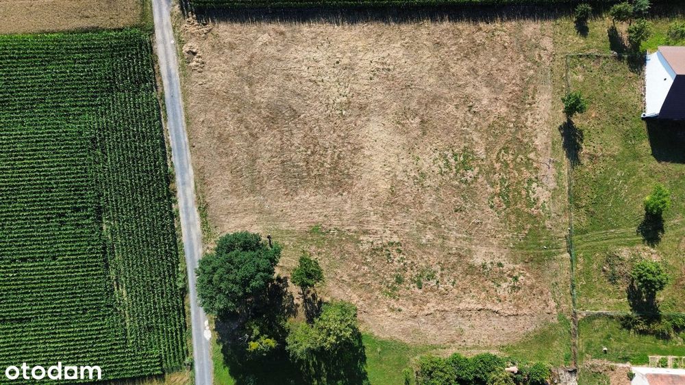 Działka budowlana 1000 m² z widokiem na Góry Opawskie i Pradziada