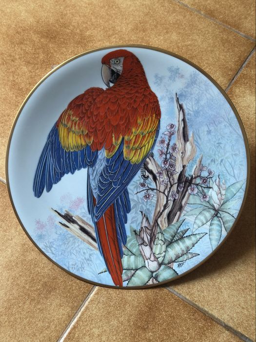 Pratos Colecao - Joias Vivas da Floresta Tropical