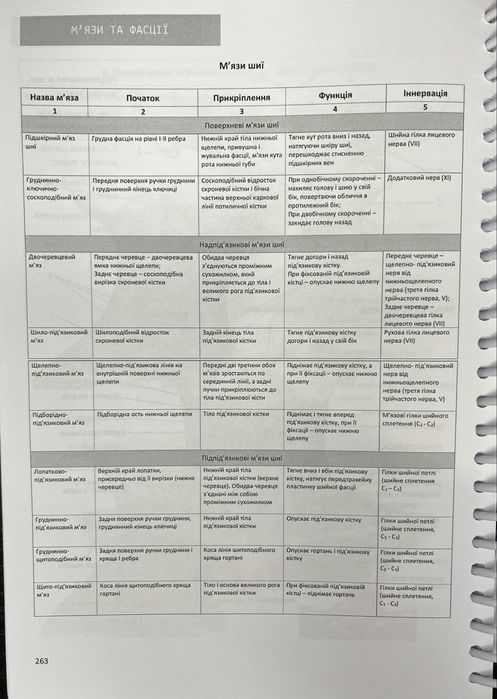 Анатомія, друкований стислий конспект