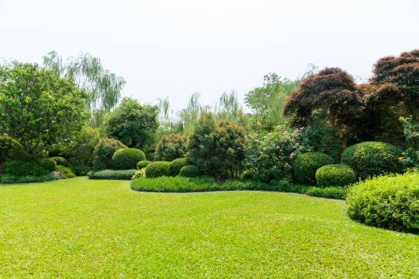 Jardim &Piscinas
