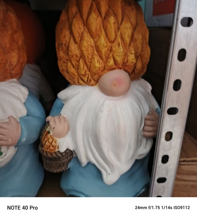 Skrzat ogrodowy mały