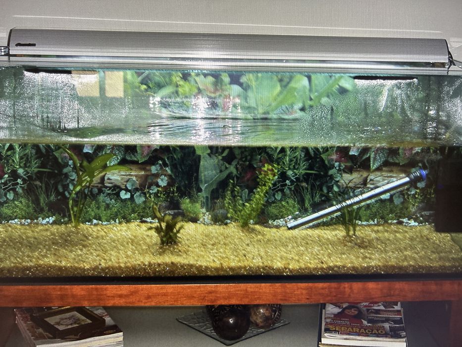 Aquário 200l (120x40cm)