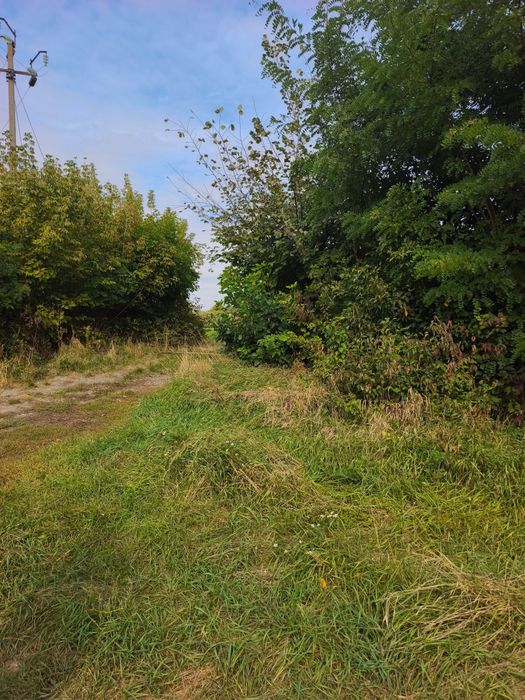 Продаж земельної ділянки