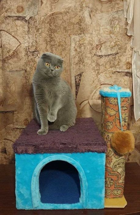 Розпродаж! Будиночки для котів з кігтеточкою та іграшкою.