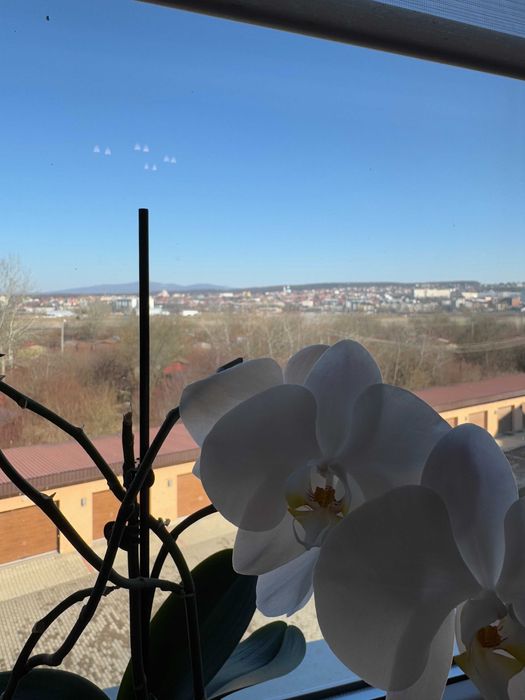 3-rooms apartment apartment by the address st. Petefi Shandora pl (area 117,9 m²) - Atlanta.ua - photo 23