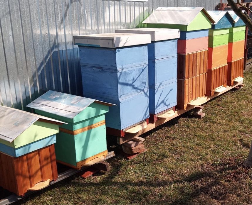 Ul odkładowy nowy ulik