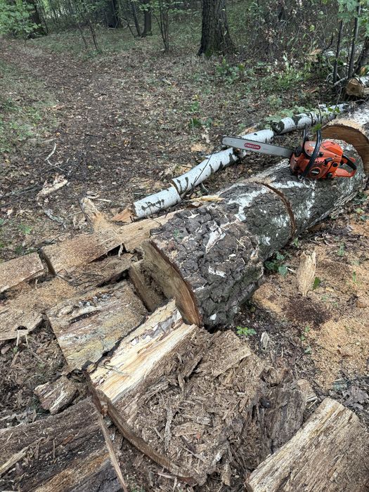 Wycinka drzew przycinanie tuiu mycie kostki brukowej