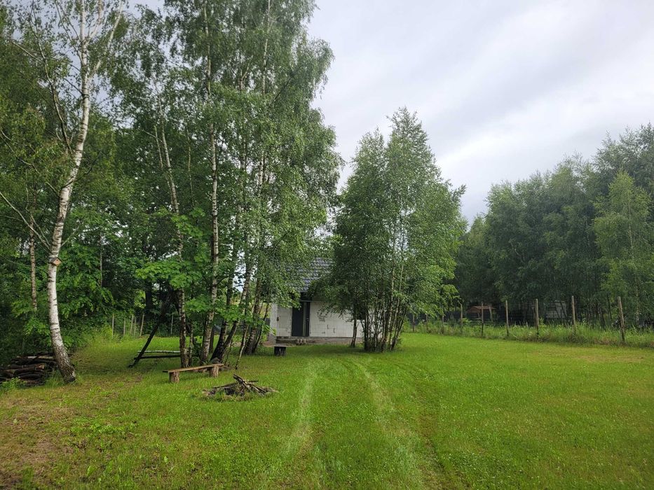 Dom – Ciche - Widok 5