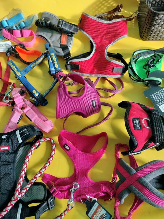 Шлея для собаки Європа