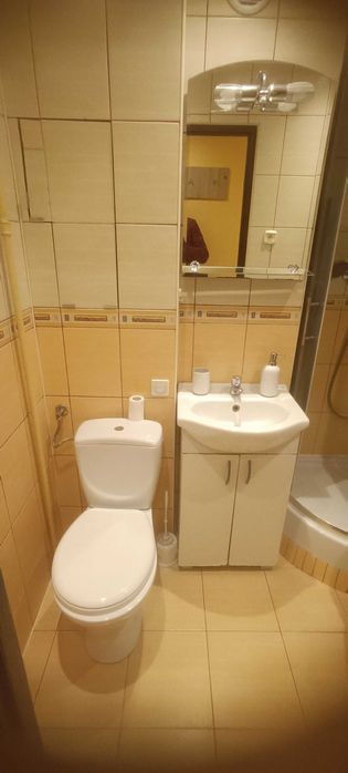 Mieszkanie – Łódź, Henryków, Mileszki - Więcej