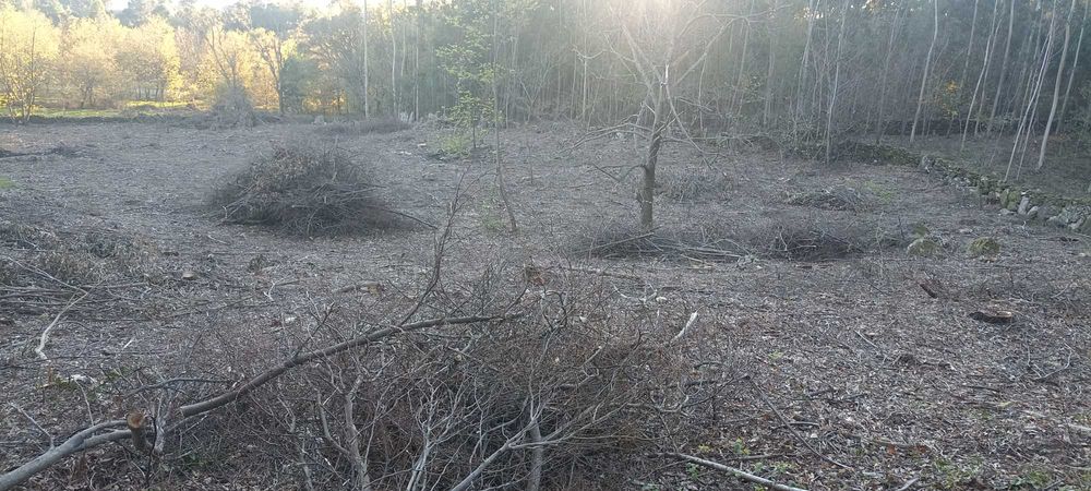 Terreno para construção