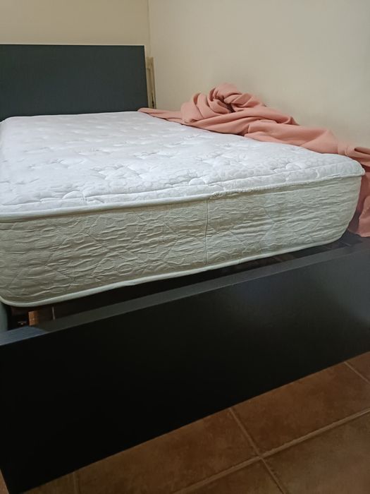 Colchão molaflex alta qualidade