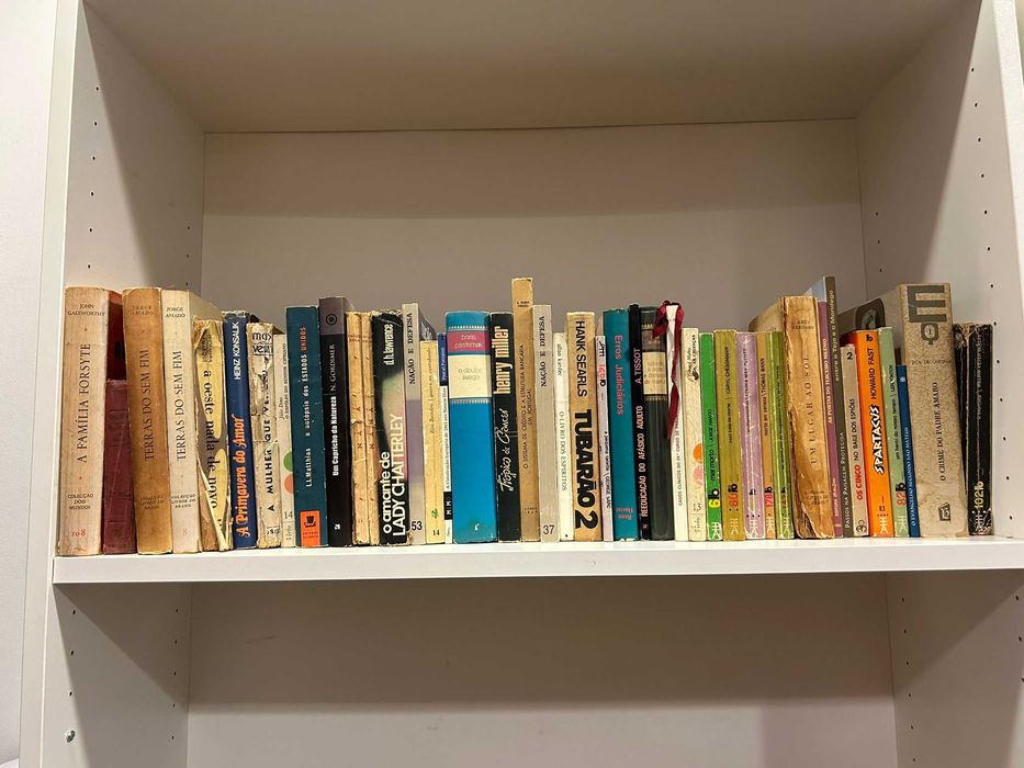 Lotes de livros 2.5euros cada unidade