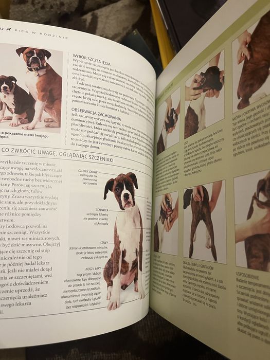 Wielka encyklopedia psy zdrowie część 1 MUR
