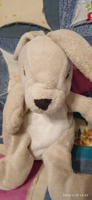 Заиц, дельфин , серые