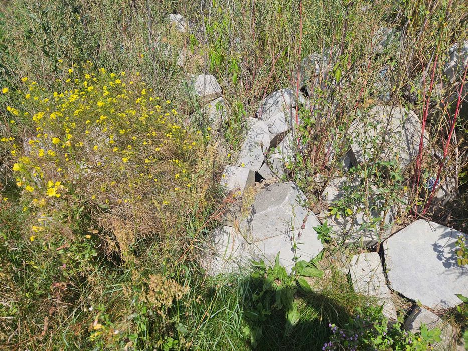 Trylinka betonowa/drogowa