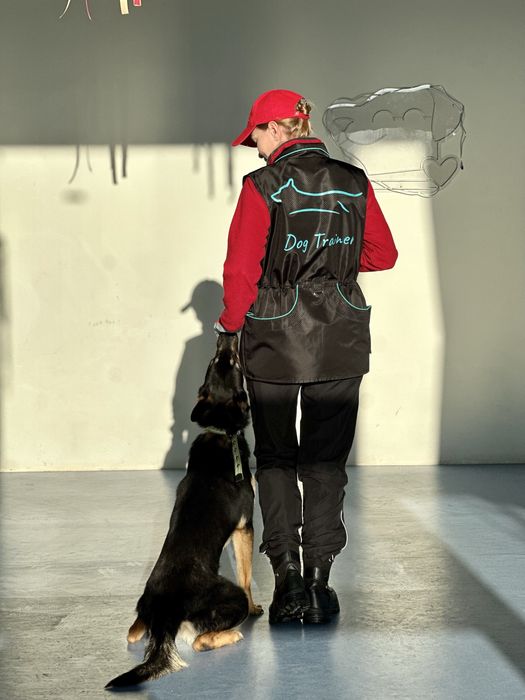 Кінолог-інструктор з побутового дресирування. Київ, Голосіївський р-н