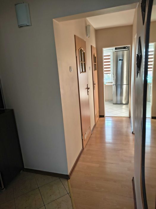 Mieszkanie 48m2 do wynajęcia