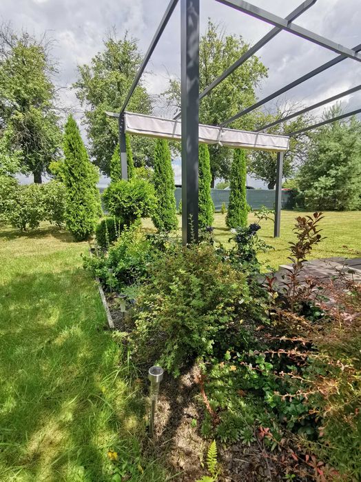 Działka ROD Huta Stara B, 700m2