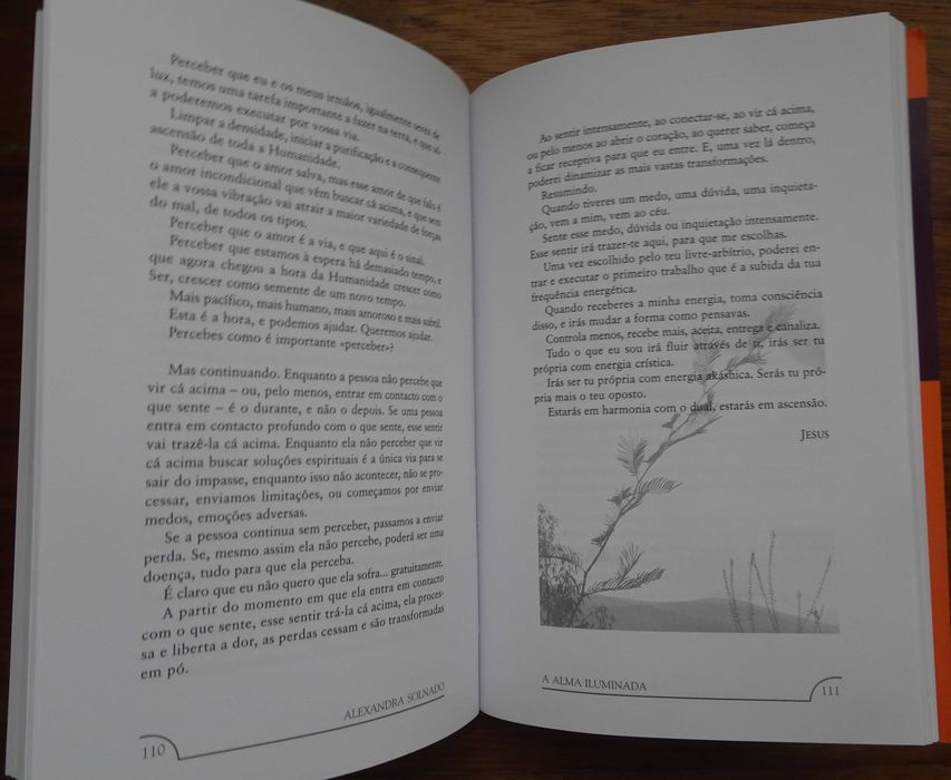 A Alma Iluminada (Mensagens de Jesus) de Alexandra Solnado