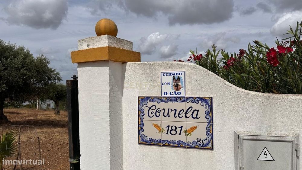 Quinta em Trigaches — 1 hectare em comunhão com a natureza