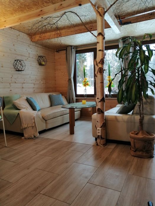 Domek z Jacuzzi Dębowy, Kaszuby wakacje staw, kominek, balia, nocleg