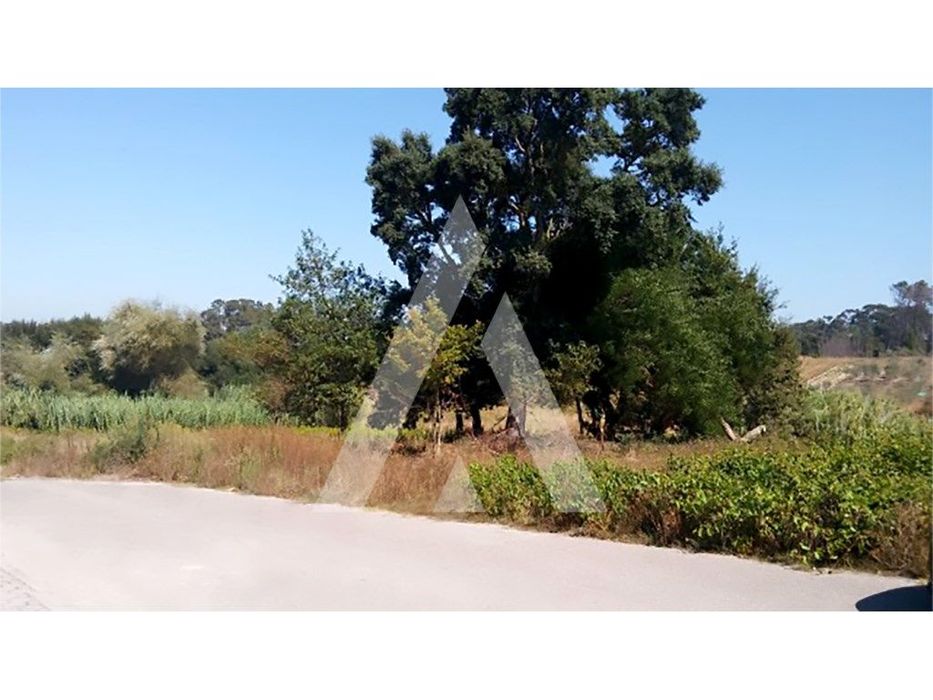Land for construction of a single-family home in Oiã