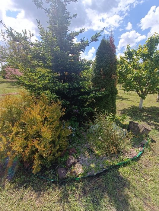 Продам будинок в с. Потіївка, Київської області