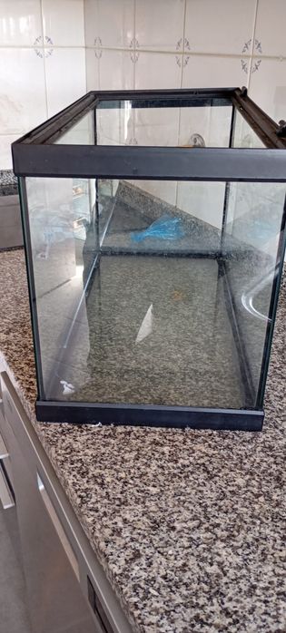 Aquário usado de 60cm