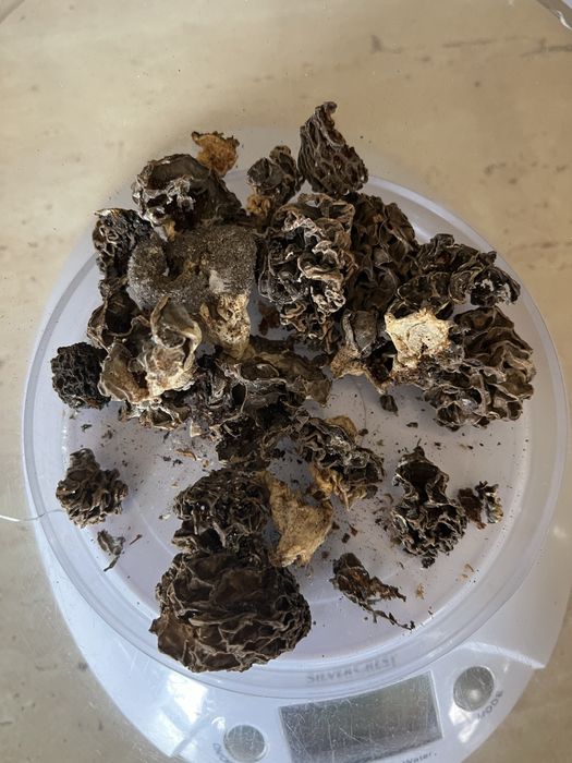 smardze suszone tegoroczne 20 gramów