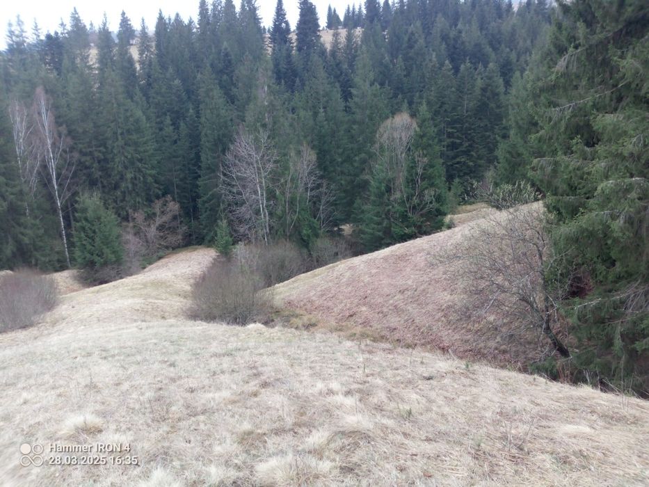 Земельна ділянка