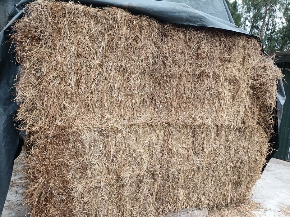 Fardos grandes e pequenos