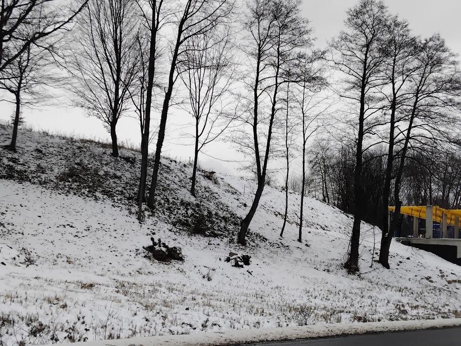 Ціну змінено! Продаємо ділянку у Квітки Полонини Солочин Закарпатськ